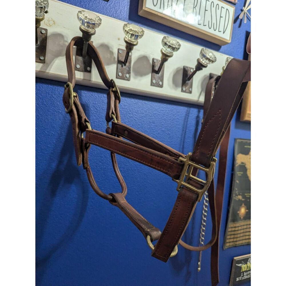Leather Thoroughbred Race HorseāHalter - Picture 3 of 9